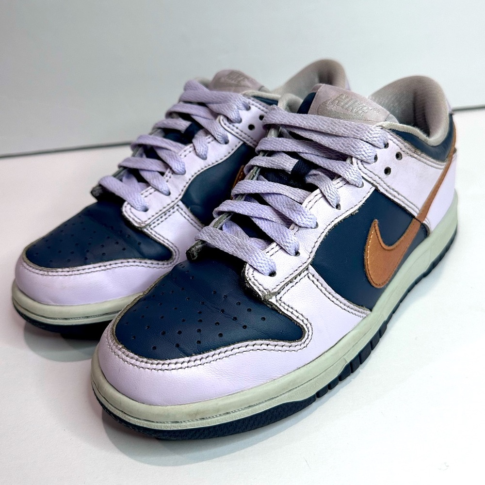 Nike Kids' Blue and Purple Dunk Sneakers